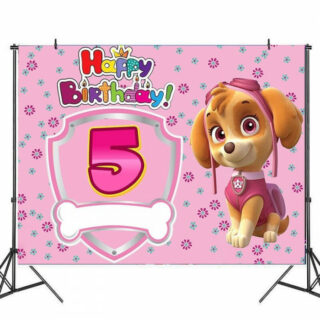 Decoration anniversaire Pat Patrouille toile de fond 5 ans Stella