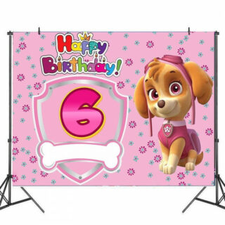 Decoration anniversaire Pat Patrouille toile de fond 6 ans Stella
