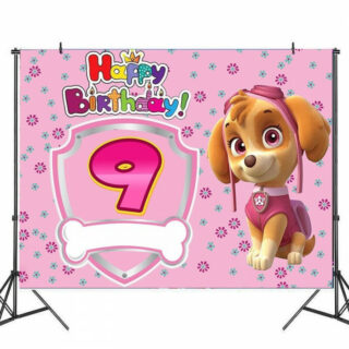 Decoration anniversaire Pat Patrouille toile de fond 9 ans Stella