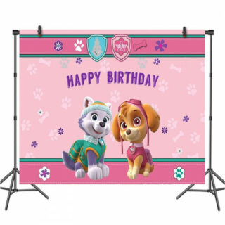 Decoration anniversaire Pat Patrouille toile de fond rose Everest et Stella