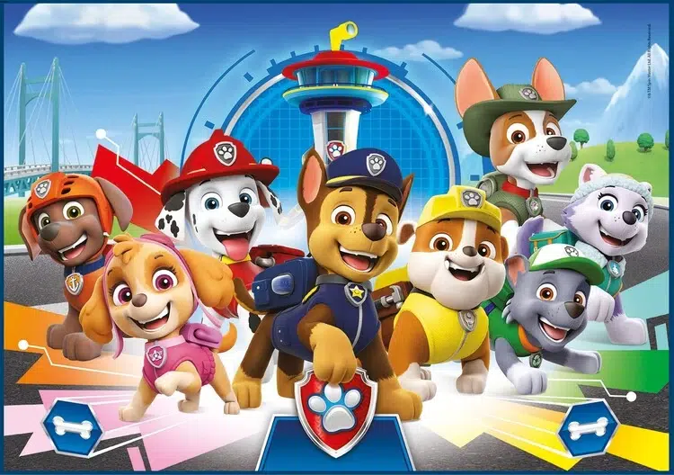 Paw patrol team i106388