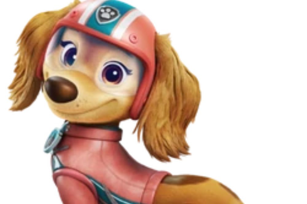 Une chienne au pelage brun clair portant une combinaison rose et turquoise, ainsi qu’un casque assorti décoré du logo de la Pat’ Patrouille.